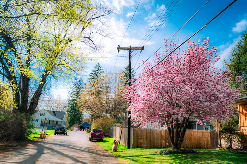 Wynantskill, NY - Apr 2025